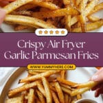 Air Fryer Garlic Parmesan Fries Recipe