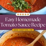 Homemade Tomato Sauce Recipe