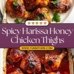 Harissa Honey Chicken Recipe