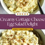 Simple Cottage Cheese Egg Salad Recipe