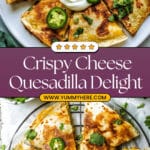 Quick Cheese Quesadilla Recipe