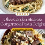 Olive Garden Steak Gorgonzola with Creamy Alfredo Sauce Recipe