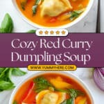 Red Curry Dumpling Soup Recipe