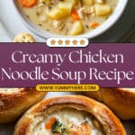 Creamy Chicken Noodle Soup Recipe
