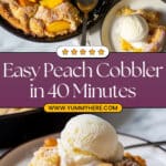 Lazy Day Cobbler Recipe