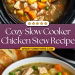 Slow Cooker Chicken Stew Recipe
