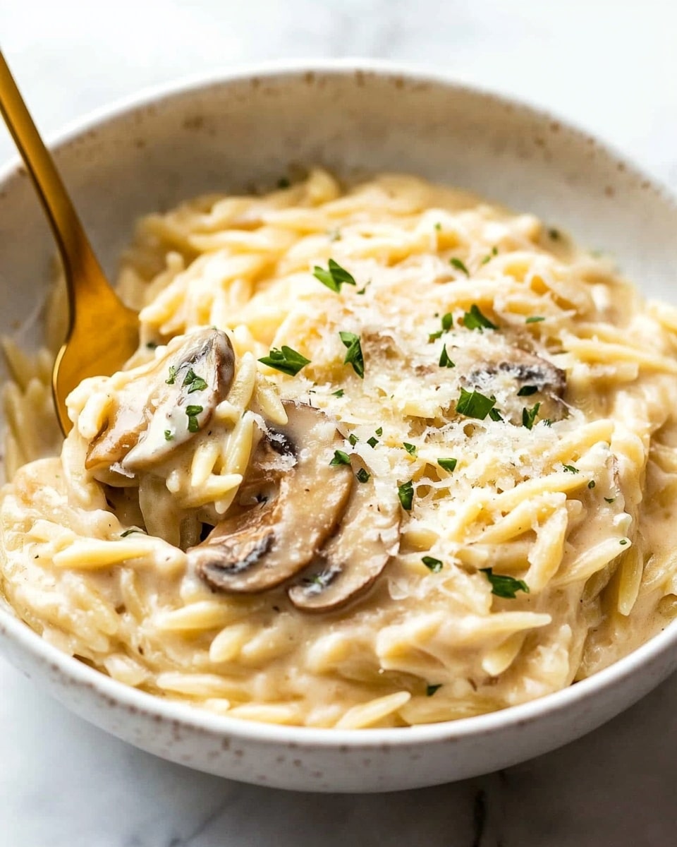 Chicken Marsala Orzo, Chicken Marsala with Orzo, Easy Chicken Marsala Recipe, Creamy Chicken Marsala Dish, One-Pot Chicken Marsala A close-up view of a creamy orzo pasta dish showing layers of small, shiny, pale yellow orzo grains mixed with light brown sliced mushrooms and thin, white strips of chicken, all covered in a smooth, beige creamy sauce. Small green herb bits and black pepper flakes are sprinkled on top. A black spoon lifts a portion of the mixture, showing the textures of the orzo, mushrooms, chicken, and sauce. The dish is set against a white marbled background.