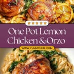 One Pot Lemon Chicken and Orzo Recipe