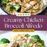 Quick & Easy Fettuccine Chicken Broccoli Alfredo Recipe