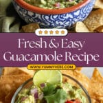 Easy Guacamole Recipe