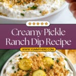Fried Pickle and Ranch Dip Recipe