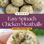 Spinach Chicken Meatballs Recipe