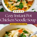 Instant Pot Chicken Noodle Soup Recipe