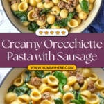 Orecchiette Pasta with Sausage Recipe