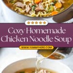 Easy Chicken Noodle Soup Recipe