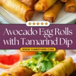 Avocado Egg Rolls Recipe