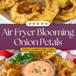 Air Fryer Blooming Onion Petals Recipe