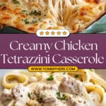 Chicken Tetrazzini Recipe