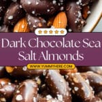 Dark Chocolate Sea Salt Almonds Recipe