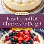 Instant Pot Cheesecake Recipe