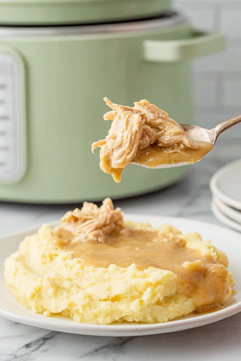 Slow Cooker Turkey and Gravy Recipe